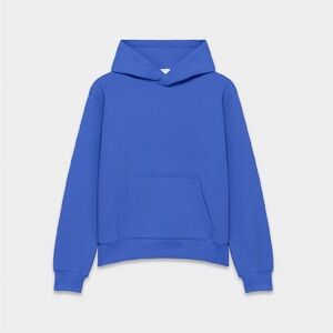 Aritzia Cozy Sweatfleece Perfect Hoodie